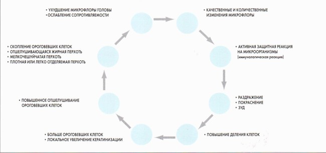 Лікування лупи в домашніх умовах