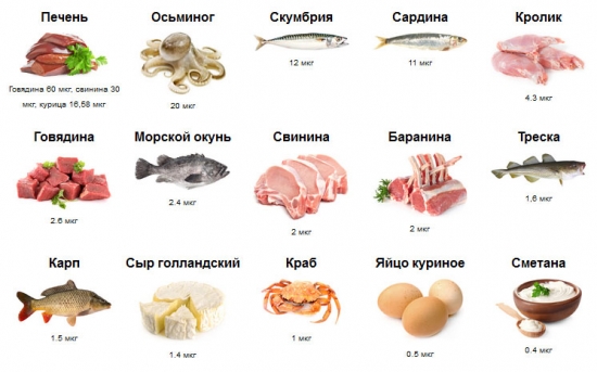 таблица продуктов богатых витамином B12