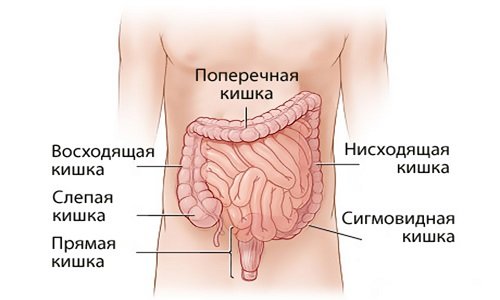 Які виникають симптоми при раку кишечника? Різновиди патології і їх характеристики. Ознаки онкології на ранніх і пізніх стадіях. профілактика недуги