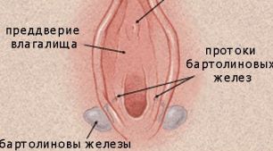 Бартолиновы железы