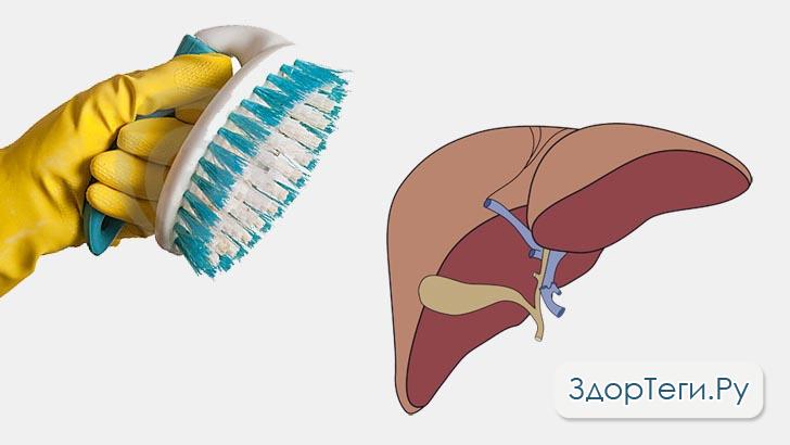 Щеткой печень не почистить