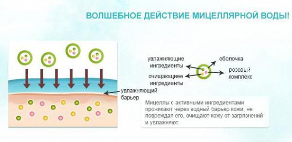 Что такое мицеллярная вода для лица