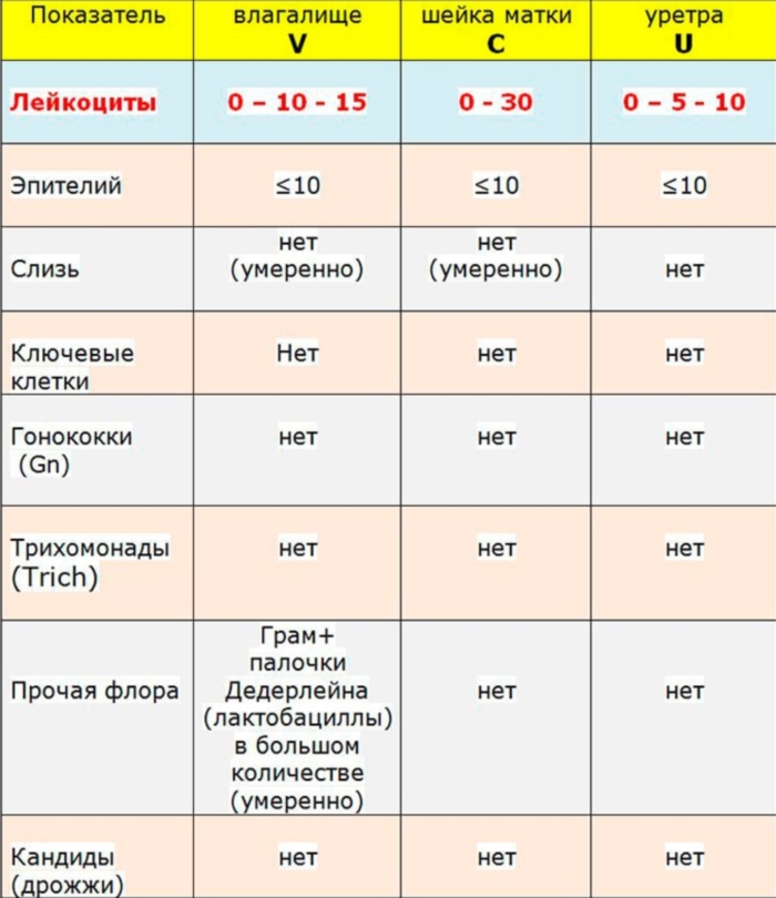 Таблица нормы лейкоцитов в мазке у женщин и другие показатели анализа