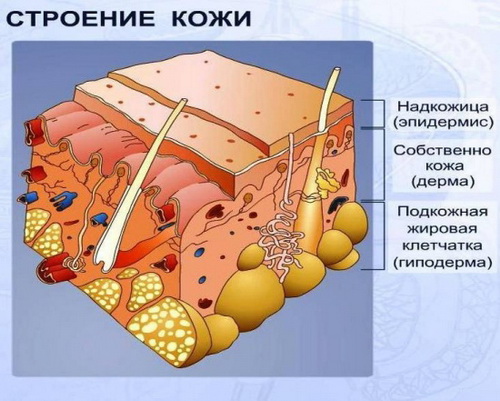 Отшелушивающая маска для обличчя: для сухої, жирної та комбінованої шкіри