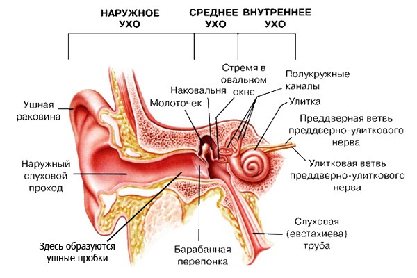 Чому виникає і як лікується отит при вагітності?