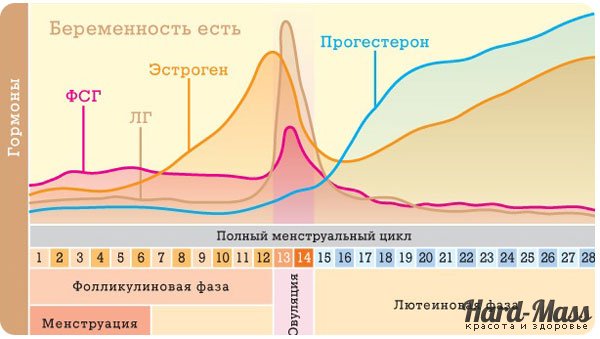 Чи можна завагітніти перед місячними? Імовірність і ризик вагітності